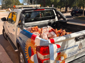 Decomisan 300 kilos de carne en controles camineros y comerciales de Ischilín y San Justo