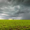 Granos: entre el alivio climático y la tensión geopolítica