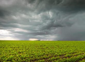 Granos: entre el alivio climático y la tensión geopolítica