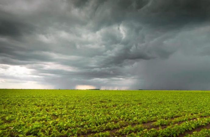 Granos: entre el alivio climático y la tensión geopolítica