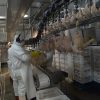 Argentina vuelve a exportar carne aviar a Corea del Sur: se reabre un mercado estratégico