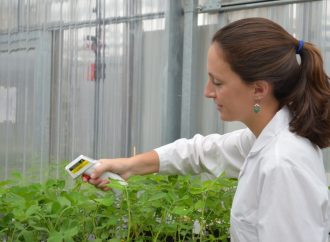 Un estudio de INTA y Conicet accede a la clave científica para combatir la sequía en el campo