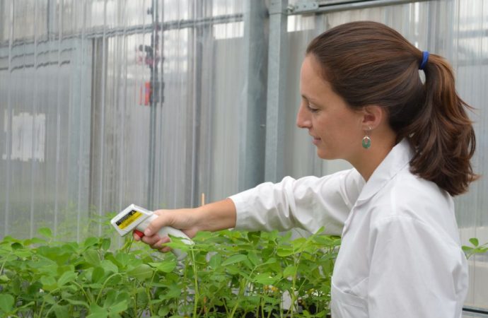 Un estudio de INTA y Conicet accede a la clave científica para combatir la sequía en el campo