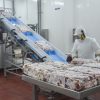 Argentina fortalece su presencia en el sudeste asiático con nuevas habilitaciones para exportar carne y lácteos a Malasia