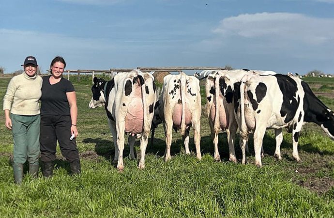 Excelencia genética en la Región Centro: concluyó la Jura a Campo y Entre Ríos exhibe su gran potencial lechero