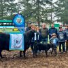 Nirihuau arrasó en la jura Angus de la Expo Junín: se llevó los dos grandes campeonatos