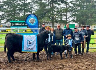 Nirihuau arrasó en la jura Angus de la Expo Junín: se llevó los dos grandes campeonatos