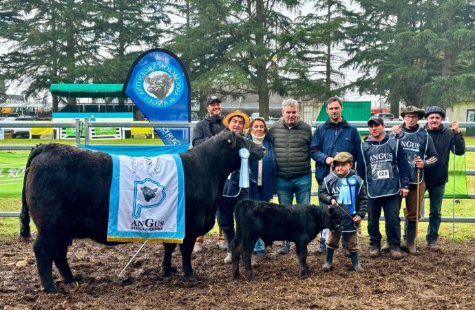 Nirihuau arrasó en la jura Angus de la Expo Junín: se llevó los dos grandes campeonatos