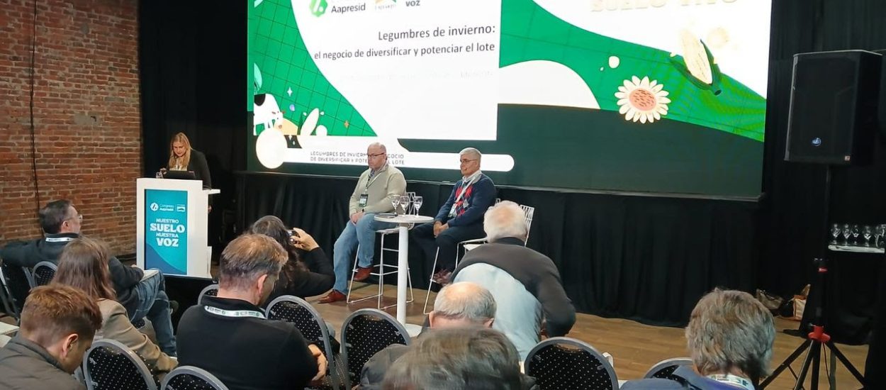 Inicio