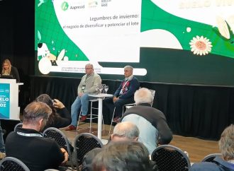 Legumbres de invierno: el valor estratégico de diversificar el sistema productivo para ganar en rentabilidad y sustentabilidad