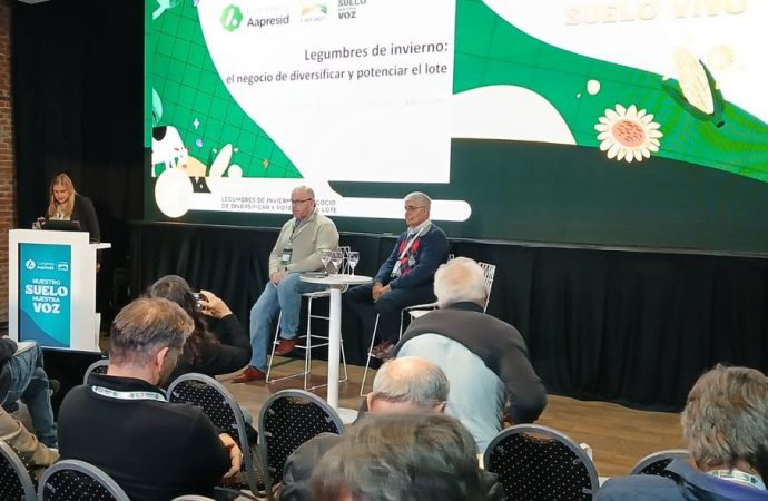 Legumbres de invierno: el valor estratégico de diversificar el sistema productivo para ganar en rentabilidad y sustentabilidad