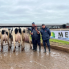 Santa Fe potencia la mayor jura a campo de vacas Holando de Argentina