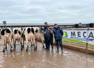 Santa Fe potencia la mayor jura a campo de vacas Holando de Argentina