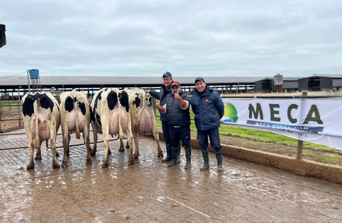 Santa Fe potencia la mayor jura a campo de vacas Holando de Argentina