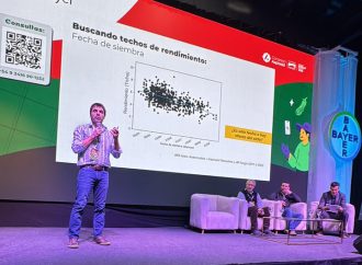 El trigo busca una «Nueva Revolución Verde»: las claves para romper los techos productivos en Argentina