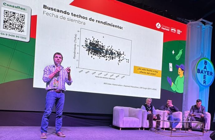 El trigo busca una «Nueva Revolución Verde»: las claves para romper los techos productivos en Argentina