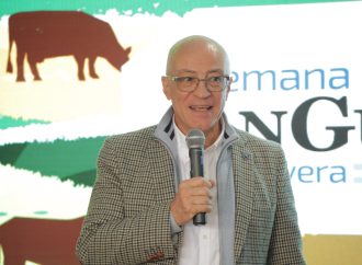 De la exportación récord a Cañuelas: la carne Angus argentina prevé triplicar sus envíos al exterior y mostrar su potencial genético