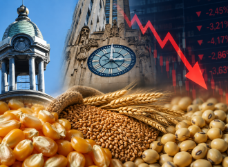 Mercados en alerta: ¿qué hay detrás de la caída de los granos?