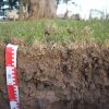 La primavera como punto de partida: por qué es el momento ideal para medir el carbono orgánico y cuidar la salud del suelo