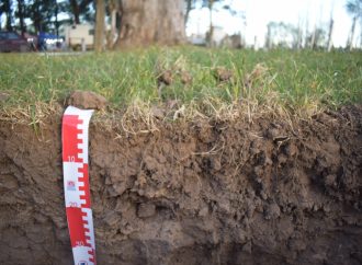 La primavera como punto de partida: por qué es el momento ideal para medir el carbono orgánico y cuidar la salud del suelo