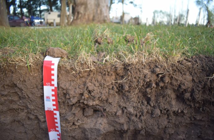 La primavera como punto de partida: por qué es el momento ideal para medir el carbono orgánico y cuidar la salud del suelo