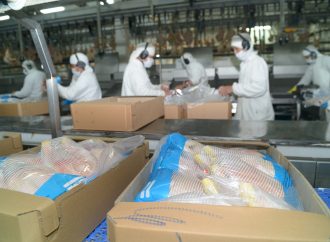 Japón reabre su mercado a la carne aviar y ovoproductos provenientes de Argentina