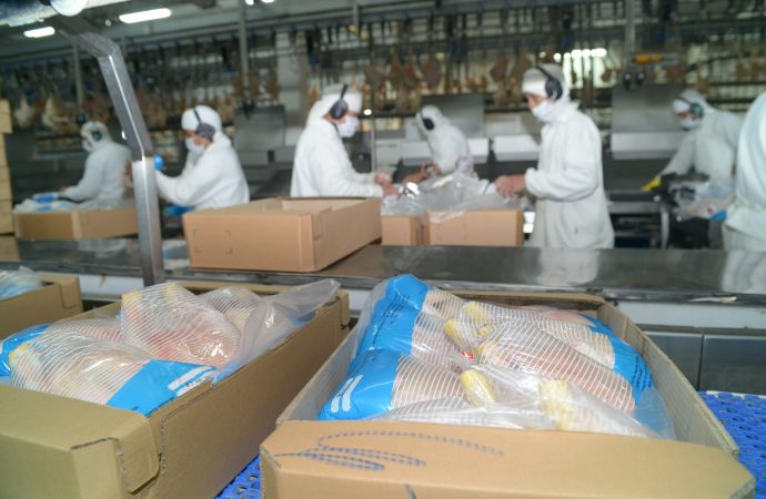 Japón reabre su mercado a la carne aviar y ovoproductos provenientes de Argentina