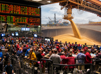 Grano a grano: ¿hacia dónde apuntan las fichas del mercado agrícola?