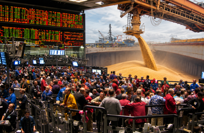 Grano a grano: ¿hacia dónde apuntan las fichas del mercado agrícola?