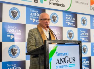 “Tenemos la marca y el producto”: la Semana Angus de Primavera pone el foco en la exportación y el desarrollo ganadero