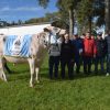 El Toro «Diablito» es el Gran Campeón Macho de la raza Holando en MECA 2026