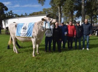 El Toro «Diablito» es el Gran Campeón Macho de la raza Holando en MECA 2026