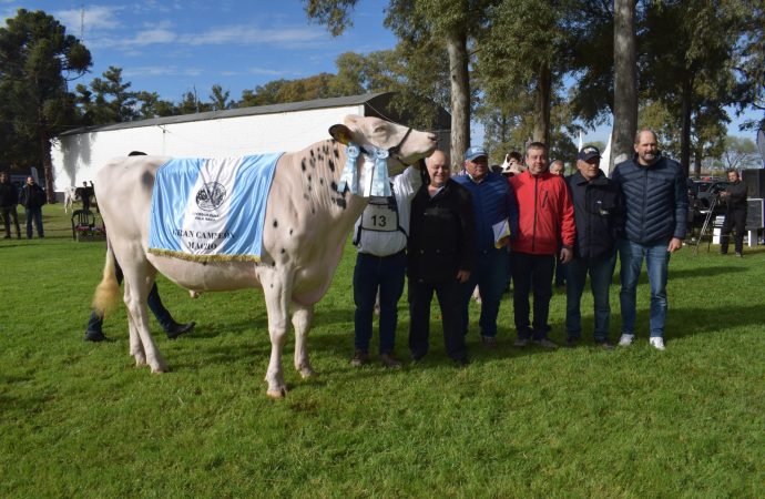 El Toro «Diablito» es el Gran Campeón Macho de la raza Holando en MECA 2026