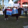 Orgullo correntino: un Toro de «El Estribo» se coronó Gran Campeón Macho Braford en ExpoBra 2026