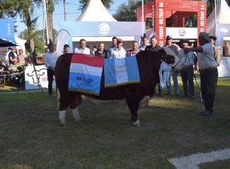 Orgullo correntino: un Toro de «El Estribo» se coronó Gran Campeón Macho Braford en ExpoBra 2026