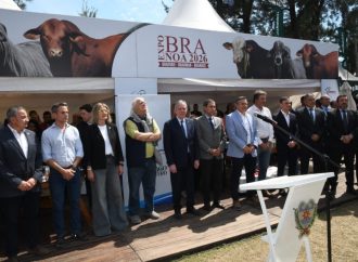 ExpoBra 2026 consolida la ganadería del norte argentino con acuerdos de trazabilidad y remates récord en el cierre de la muestra