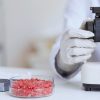 Irradiación gamma en carne picada: hallan la dosis precisa para eliminar la bacteria E. coli sin alterar el sabor