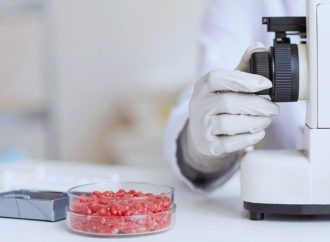 Irradiación gamma en carne picada: hallan la dosis precisa para eliminar la bacteria E. coli sin alterar el sabor