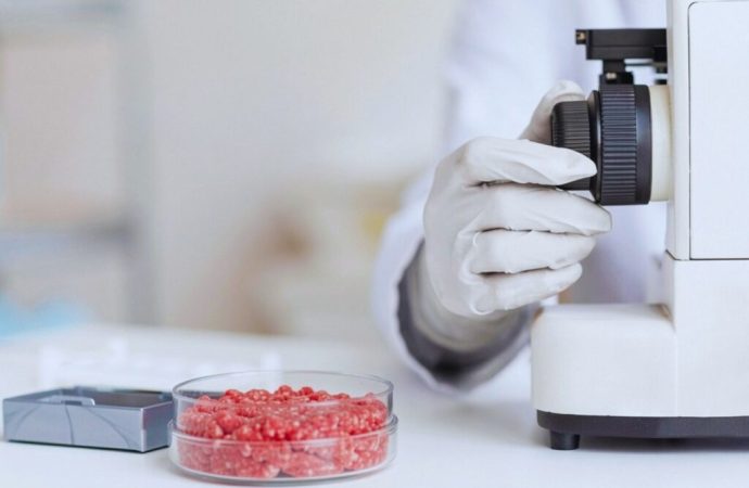 Irradiación gamma en carne picada: hallan la dosis precisa para eliminar la bacteria E. coli sin alterar el sabor