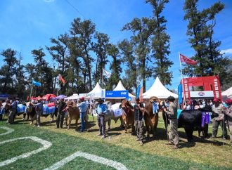 ExpoBRA 2026: Santiago del Estero reúne al epicentro de la ganadería del norte argentino