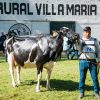 Don Nura se corona en la MECA26: Se consagra con la Vaca Suprema Holando Argentino