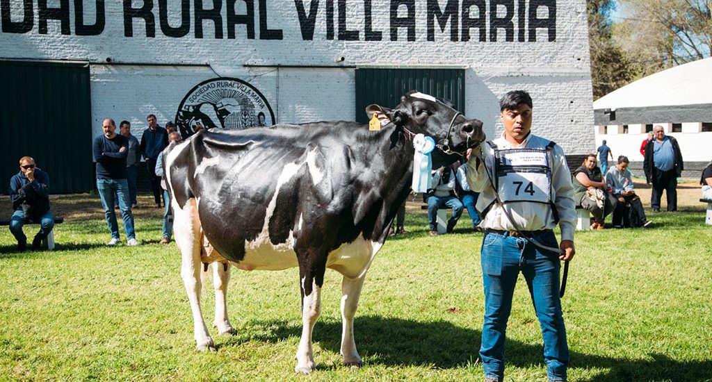 Inicio