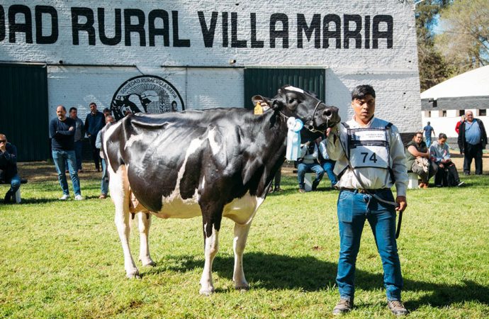 Don Nura se corona en la MECA26: Se consagra con la Vaca Suprema Holando Argentino