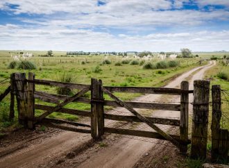 El mercado inmobiliario rural mostró una leve mejora en agosto y el InCAIR alcanzó los 50 puntos