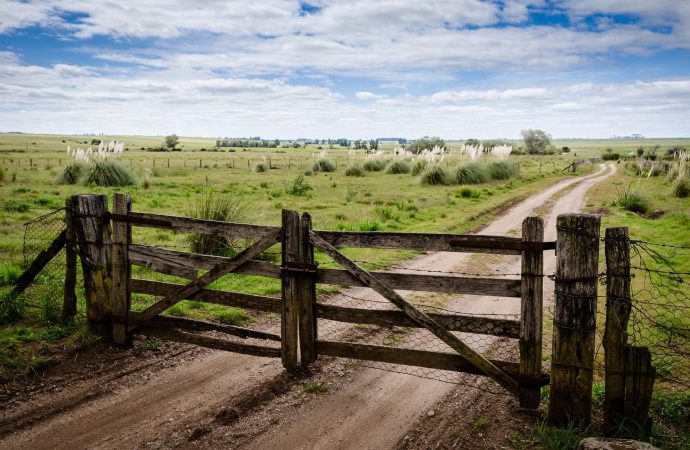 El mercado inmobiliario rural mostró una leve mejora en agosto y el InCAIR alcanzó los 50 puntos