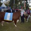 Otro título cordobés en ExpoBra 2026: Los Socavones suma una nueva Gran Campeona en Braford y consolida su proyecto genético