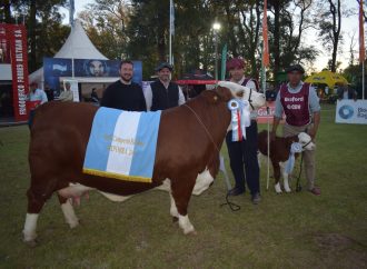 Otro título cordobés en ExpoBra 2026: Los Socavones suma una nueva Gran Campeona en Braford y consolida su proyecto genético