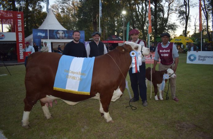 Otro título cordobés en ExpoBra 2026: Los Socavones suma una nueva Gran Campeona en Braford y consolida su proyecto genético
