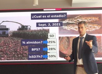 La revolución silenciosa del sorgo: el cultivo clave que desafía la supremacía del maíz en la ganadería