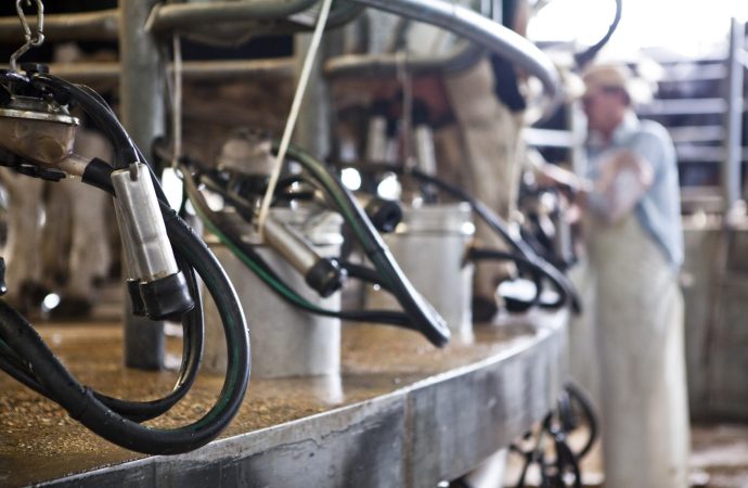 Créditos en «Valor Producto»: el campo argentino se tecnifica y produce a niveles récord